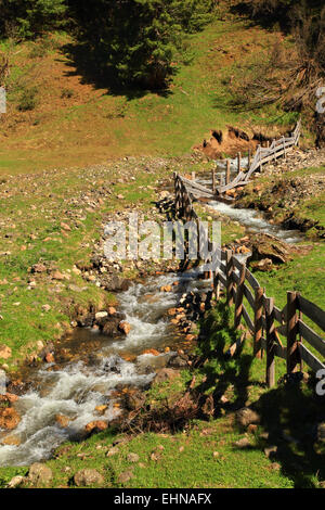 Mountain Creek à Siusi, / Alpe di Siusi Banque D'Images