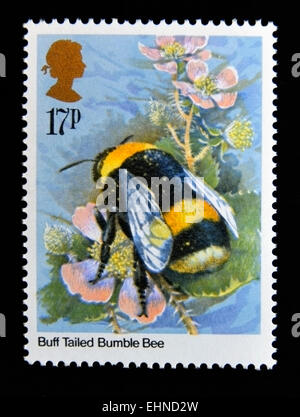 Timbre-poste. La Grande-Bretagne. La reine Elizabeth II. 1985. Les insectes. Le Buff de bourdons (Bombus terrestris). 17p. Banque D'Images