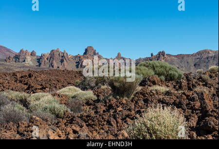 Champ de lave du volcan de Teide sur l'île de Tenerife en Espagne. Banque D'Images