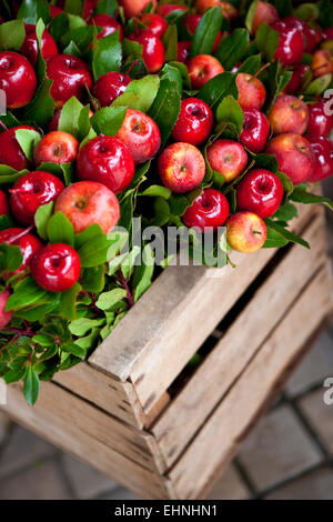 Bouquet de pommes et de laurier sur un étal du marché Banque D'Images