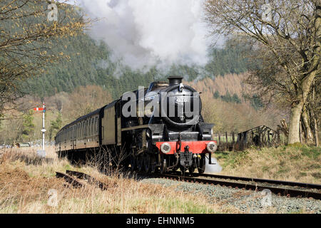 Feuilles de train à vapeur sur le chemin de fer carrog llangollen Banque D'Images