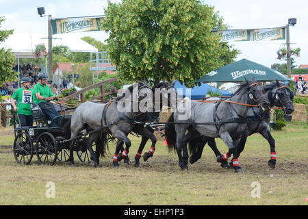 Les Européens plus grand projet de horse show Banque D'Images