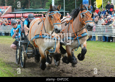 Les Européens plus grand projet de horse show Banque D'Images