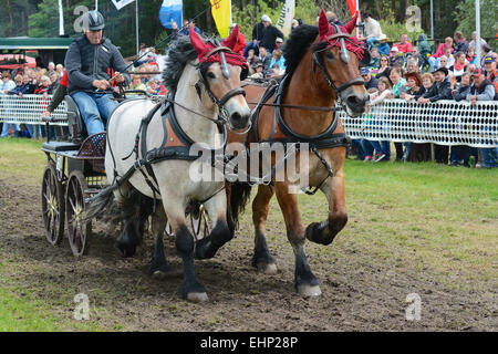 Les Européens plus grand projet de horse show Banque D'Images