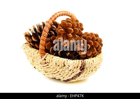 Cônes de pin dans un panier. Banque D'Images
