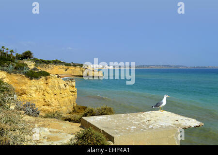 Cova Redonda Beach à Armacao De Pera en Algarve au Portugal Banque D'Images