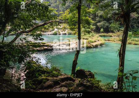 Semuc champay un parc aquatique naturel au Guatemala Banque D'Images