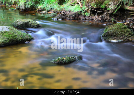 Ruisseau de montagne dans le Parc National de Harz Banque D'Images