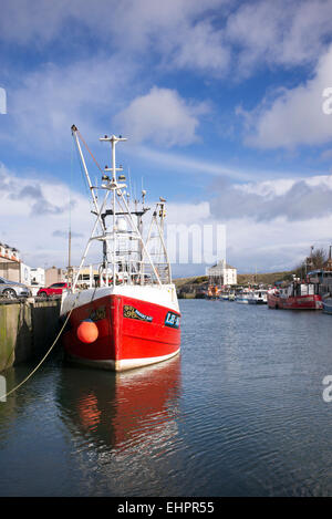 Mer du Nord chalutiers amarrés dans le port de Eyemouth, Berwickshire, en Écosse Banque D'Images