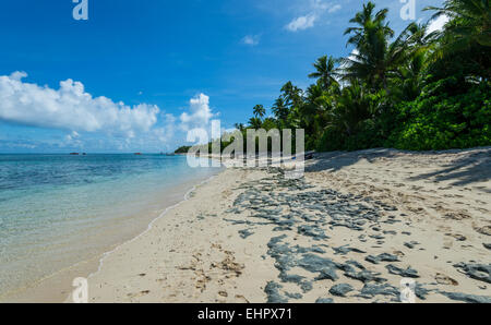 Dravuni Island est situé à Fidji et est une carte postale de l'île tropical parfait avec ses plages parfaites et chaleureux habitants. Banque D'Images