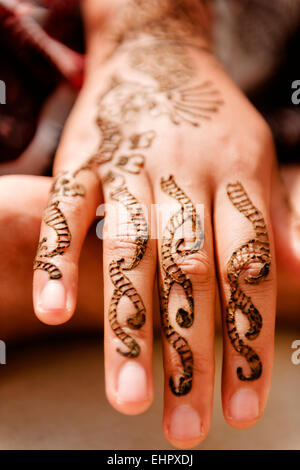 Le henné se fait dans Udaipur. Banque D'Images