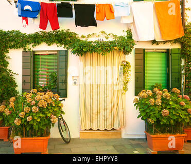 L'Italie, Burano : façade d'une maison de pêcheur avec des grappes de fleurs d'hortensias en pot et blanchisserie colorés suspendus dans le soleil Banque D'Images