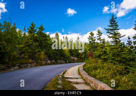 Le Park Loop Road dans l'Acadia National Park, Maine. Banque D'Images