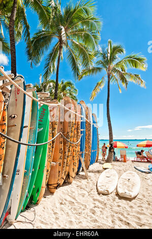 Honolulu, HI, USA - 7 septembre 2013 : Planches alignées dans le rack à la célèbre plage de Waikiki à Honolulu. Oahu, Hawaii. Banque D'Images