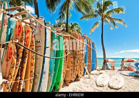 Honolulu, HI, USA - 7 septembre 2013 : Planches alignées dans le rack à la célèbre plage de Waikiki à Honolulu. Oahu, Hawaii. Banque D'Images