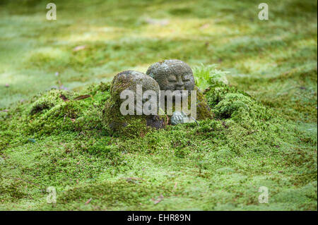 Statues de Jizo Bosatsu (le protecteur des voyageurs) émergeant du sol dans le jardin de mousse du temple bouddhiste Sanzen-in, Ohara, Japon Banque D'Images