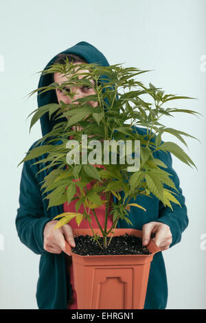 Portrait d'un homme in hoodie holding pot de fleurs avec des plantes de cannabis. Banque D'Images