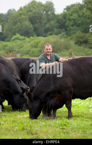 Angus Stovold éleveur de bovins, avec des bovins à sa ferme de Shackleford Surrey England Banque D'Images