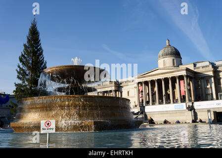Arbre de Noël et de Trafalgar Square fontaine en face de la National Gallery, Londres. Banque D'Images