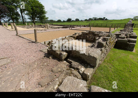 Vue pittoresque de Birdoswald Roman Fort les fondations des bâtiments et les ruines sur le mur d'Hadrien, route à Gilsland. Banque D'Images