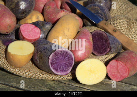 pommes de terre Banque D'Images