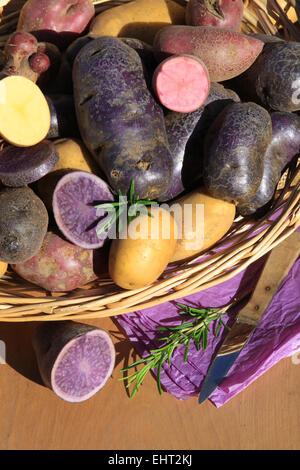 pommes de terre Banque D'Images