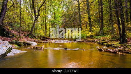 Un ruisseau au Rocks State Park, Maryland. Banque D'Images