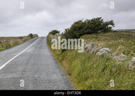 Paysage dans le Burren National Park Banque D'Images