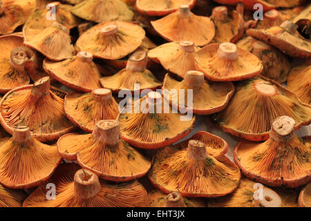 Champignons sur le terrain en vente dans le marché de la boqueria, Barcelone, Catalogne, Espagne Banque D'Images