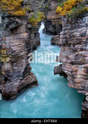 Dans Athebasca Narow canyon des chutes. Le Parc National Jasper, Alberta, Canada Banque D'Images