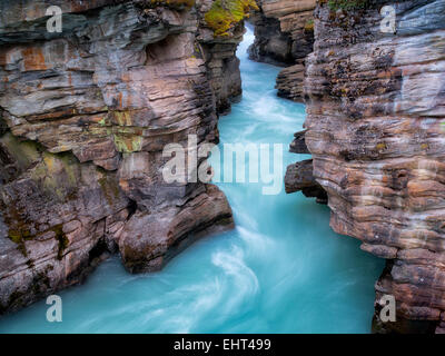 Dans Athebasca Narow canyon des chutes. Le Parc National Jasper, Alberta, Canada Banque D'Images
