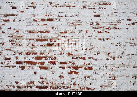 Old brick wall background Banque D'Images