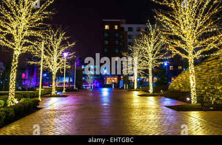 Les lumières de Noël sur les arbres le long d'un chemin à National Harbor, Maryland, à la nuit. Banque D'Images