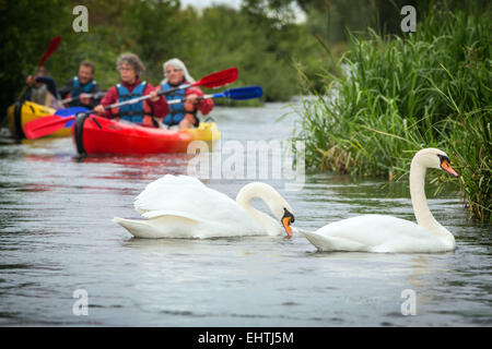 Le canoë-kayak dans l'EURE (27), FRANCE Banque D'Images