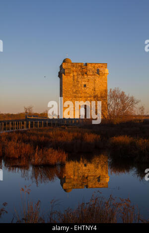 ILLUSTRATION DE LA CAMARGUE, Gard (30), LANGUEDOC-ROUSSILLON, FRANCE Banque D'Images