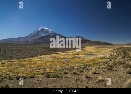 Vue panoramique du volcan Nevado Sajama, plus haut sommet de Bolivie dans le parc national de Sajama Banque D'Images