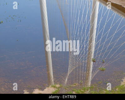 Ponts sur Trinity Banque D'Images