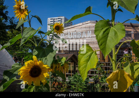 Projet de jardin expérimental-R UBAN PAR L'ATELIER D'ARCHITECTURE AUTOGEREE (AAA), Colombes (92) Hauts-de-Seine, FRANCE Banque D'Images