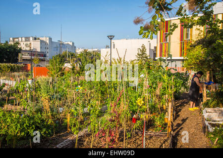 L'AGRICULTURE URBAINE, COURBEVOIE (92), hauts-de-Seine, ILE-DE-FRANCE, FRANCE Banque D'Images