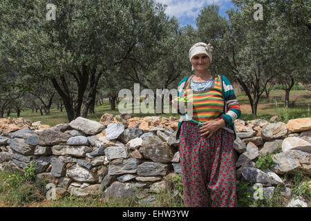 La Riviera d'olive, sur la mer Egée, en Turquie Banque D'Images