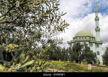 La Riviera d'olive, sur la mer Egée, en Turquie Banque D'Images