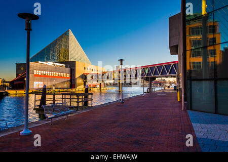 L'Aquarium National à Inner Harbor de Baltimore, Maryland. Banque D'Images