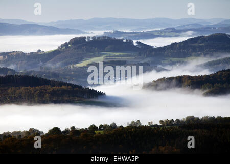 Brume matinale dans la forêt d'Arnsberg. Banque D'Images