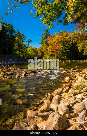 La couleur en automne le long de la rivière Saco dans Conway, New Hampshire. Banque D'Images