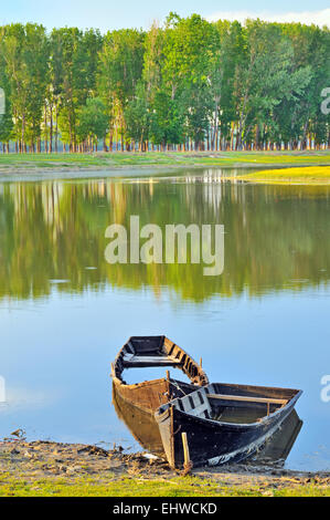 Bateau traditionnel dans le Danube dans le printemps ! Banque D'Images