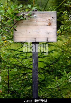 Un panneau en bois envahi par Grungy dans le désert pour votre texte Banque D'Images