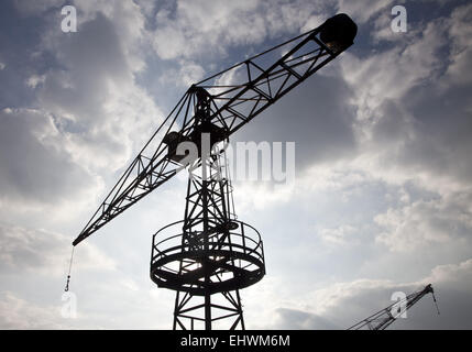 Crane, port intérieur de Duisburg, Allemagne. Banque D'Images