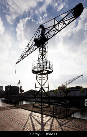 Crane, port intérieur de Duisburg, Allemagne. Banque D'Images