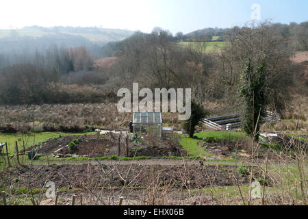 Carmarthenshire, Pays de Galles, Royaume-Uni. 18 mars 2015. Sunshine comble un jardin rural organique par une chaude matinée de printemps ensoleillée dans Carmarthenshire, West Wales UK. Credit : Kathy deWitt/Alamy Live News Banque D'Images