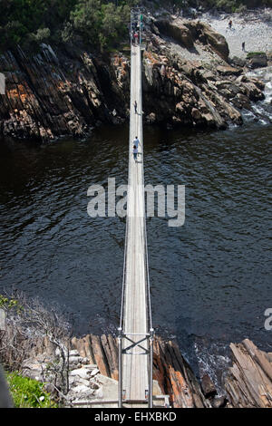 Pont suspendu au-dessus de l'embouchure de la rivière, les tempêtes Tsitsikamma National Park, Afrique du Sud Banque D'Images